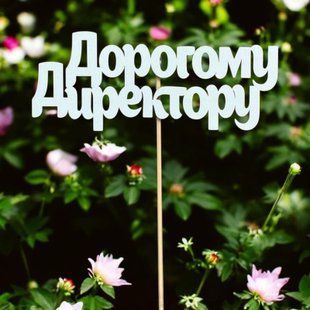 5 шт упаковка на шпажці - дорогому директору 1032 фото