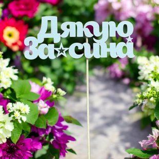 5 шт упаковка на шпажці - дякую за сина 1023 фото