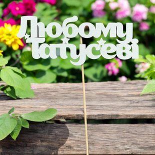 5 шт упаковка на шпажці - любому татусеві 1047 фото
