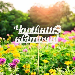 5 шт упаковка на шпажці - Чарівній квіточці 2380 фото