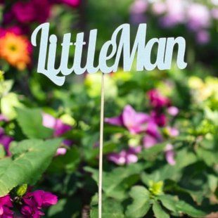 5 шт упаковка на шпажці - Little man 1003 фото
