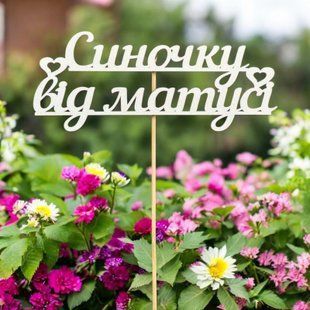 5 шт упаковка на шпажці - Синочку від матусі 1858 фото