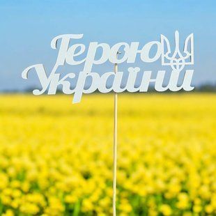 5 шт упаковка на шпажці - Герою України 2299 фото